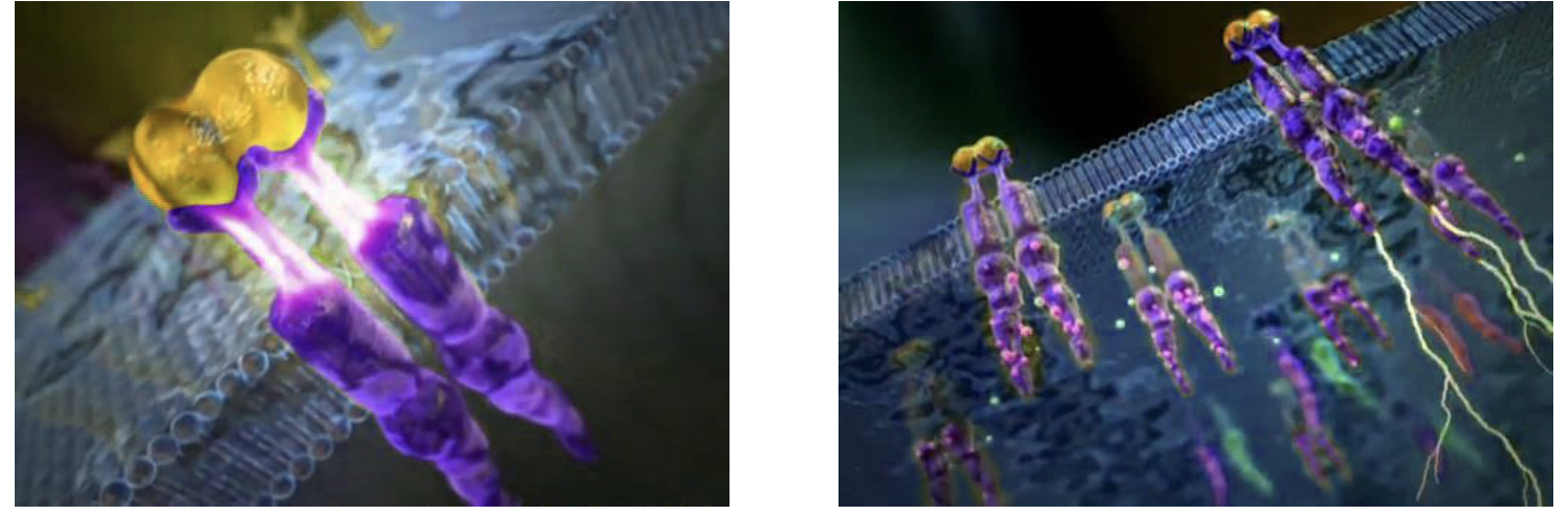 メイクアップピール